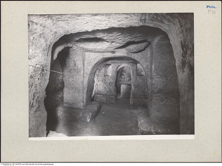 Vorderseite von bh233251_recto