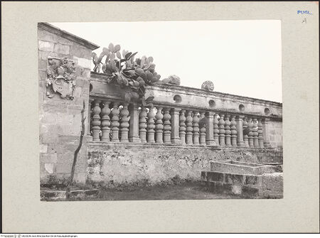 Vorderseite von bh233256_recto