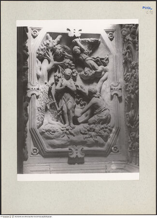 Vorderseite von bh233268_recto