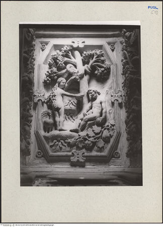 Vorderseite von bh233270_recto