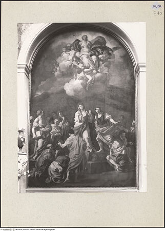 Vorderseite von bh233295_recto