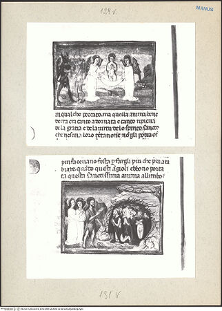 Vorderseite von bh233316_bh233816_recto