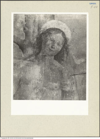 Vorderseite von bh233335_recto