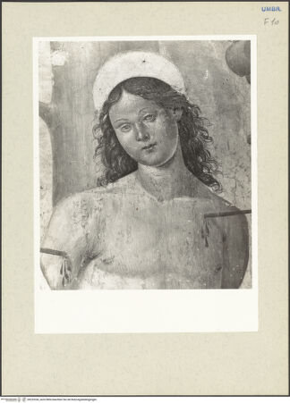 Vorderseite von bh233336_recto