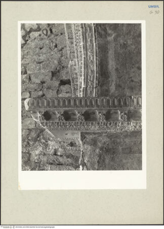 Vorderseite von bh233366_recto