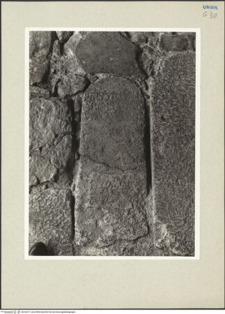 Vorderseite von bh233377_recto