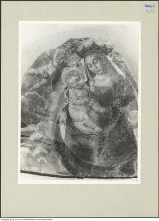 Vorderseite von bh233578_recto