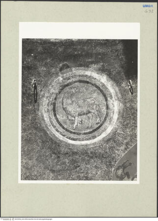 Vorderseite von bh233594_recto