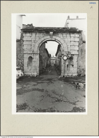 Vorderseite von bh233666_recto