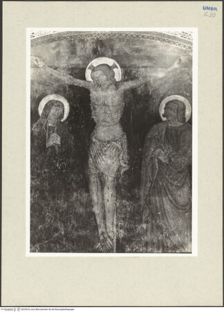 Vorderseite von bh233676_recto