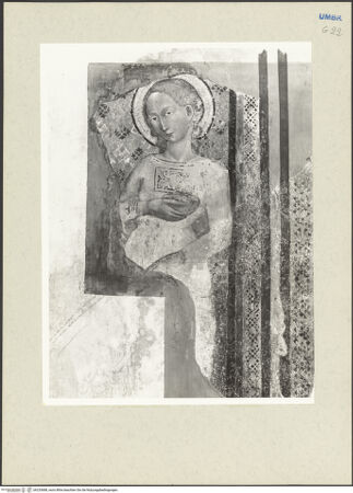 Vorderseite von bh233688_recto