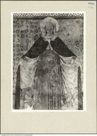 Vorderseite von bh233695_recto