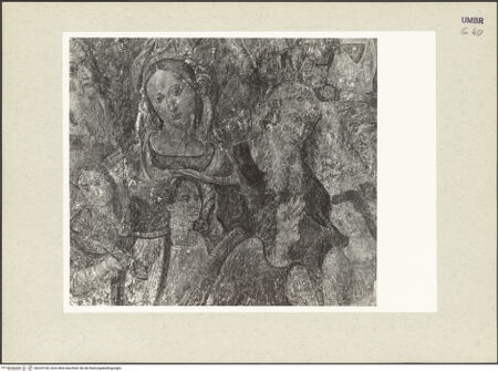 Vorderseite von bh233728_recto