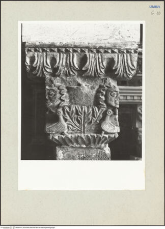 Vorderseite von bh233747_recto