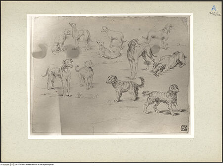 Vorderseite von bh233777_recto