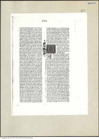 Vorderseite von bh233779_recto