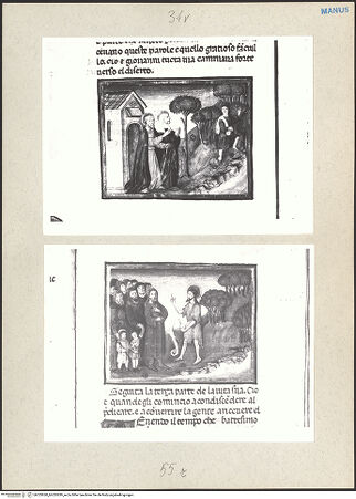 Vorderseite von bh233838_bh233839_recto