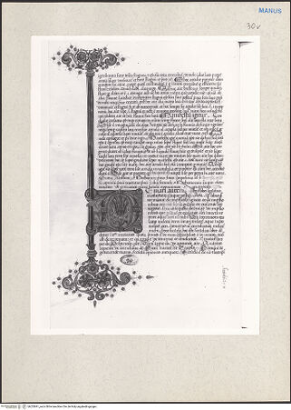 Vorderseite von bh233841_recto