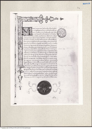 Vorderseite von bh233846_recto