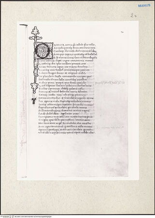 Vorderseite von bh233847_recto