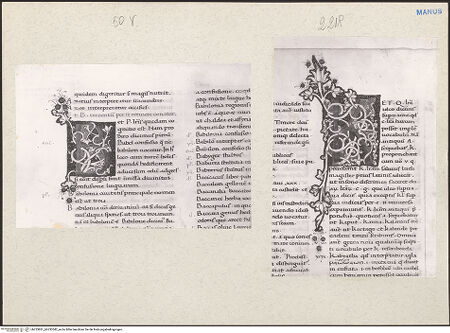 Vorderseite von bh233851_bh233582_recto