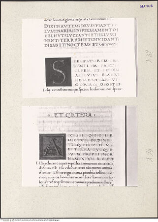 Vorderseite von bh233859_bh233860_recto