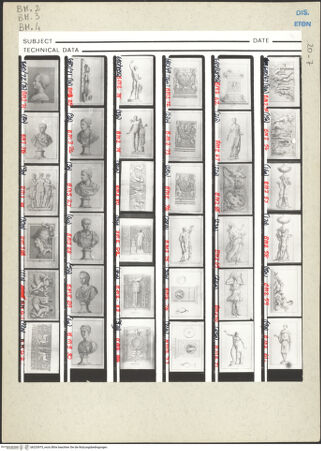 Vorderseite von bh233975_recto