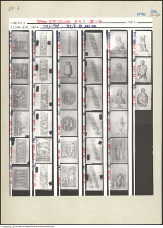 Vorderseite von bh233981_recto