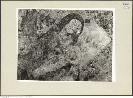 Vorderseite von bh234408_recto