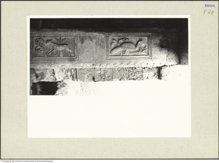 Vorderseite von bh234439_recto