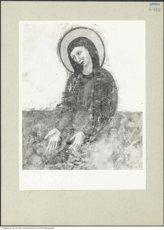 Vorderseite von bh234481_recto