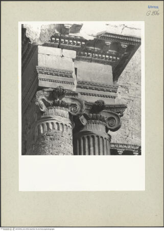 Vorderseite von bh234494_recto