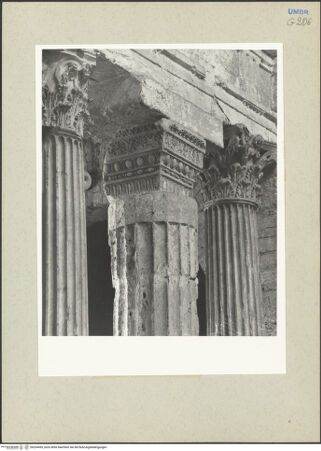 Vorderseite von bh234495_recto