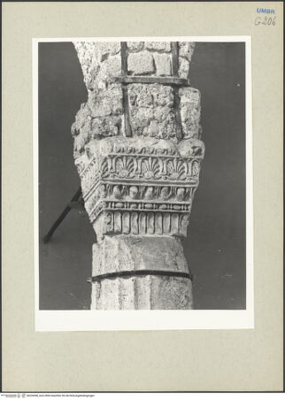 Vorderseite von bh234498_recto