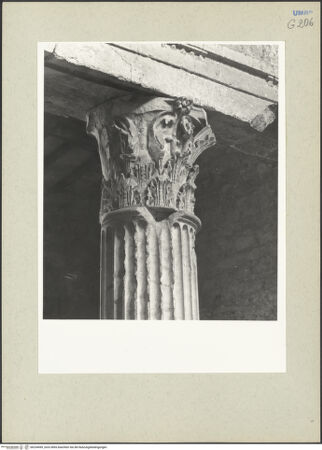 Vorderseite von bh234499_recto