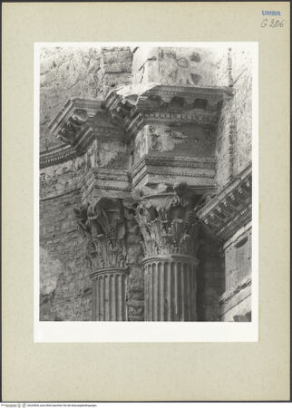 Vorderseite von bh234504_recto