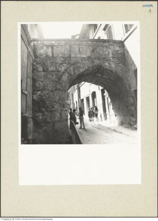 Vorderseite von bh234527_recto