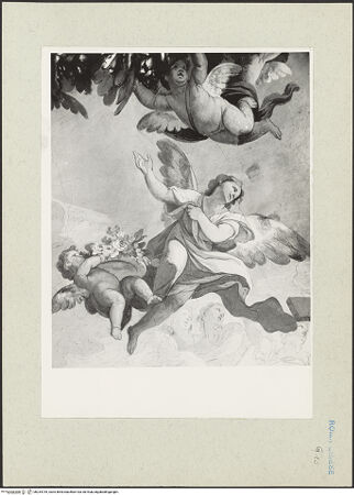 Vorderseite von bh234735_recto