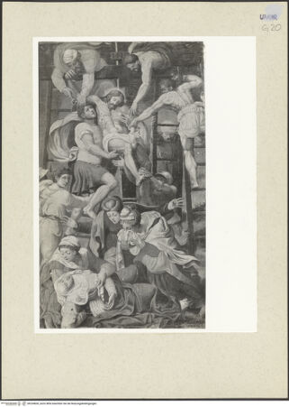 Vorderseite von bh234830_recto