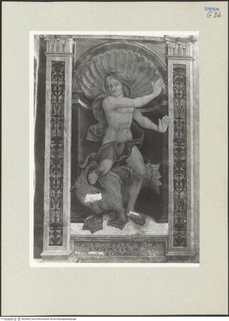 Vorderseite von Getty Research Institute [https://www.deutsche-digitale-bibliothek.de/content/lizenzen/rv-ez/] Kapellendekoration mit Auferstehung Christi, Sibyllen und Personen des Alten TestamentsJonas entsteigt dem Maul des Wals - Gesamtansicht, bh234920_recto. Foto: Hutzel, Max.