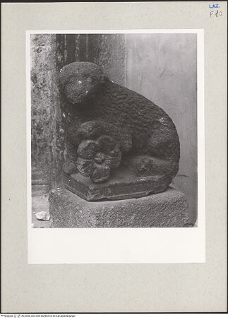 Vorderseite von bh234956_recto