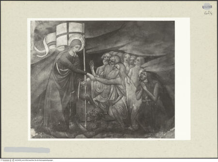 Vorderseite von bh234990_recto