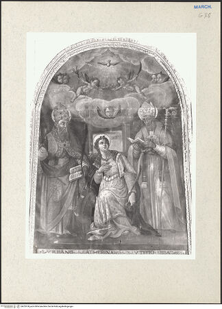 Vorderseite von bh235100_recto