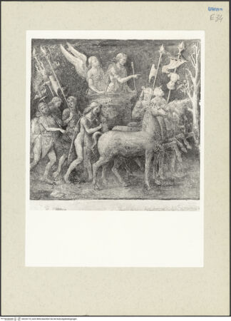 Vorderseite von bh235175_recto