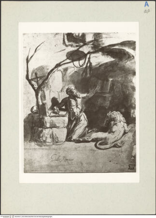 Vorderseite von bh235231_recto