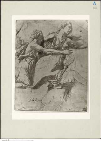 Vorderseite von bh235248_recto