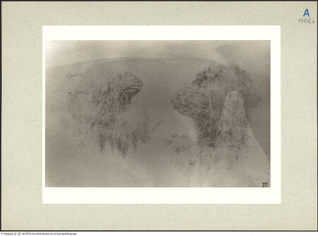 Vorderseite von bh235255_recto