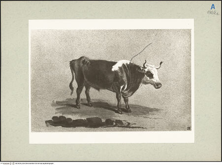 Vorderseite von bh235256_recto