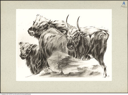 Vorderseite von bh235257_recto