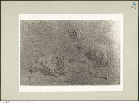 Vorderseite von bh235258_recto